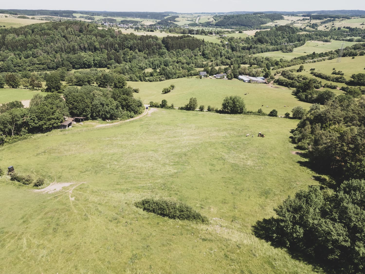 Drohnenaufnahme der Weiden in Ormont